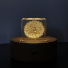 Dandelion Specimen Cube Creative Resin Tabletop Decoration